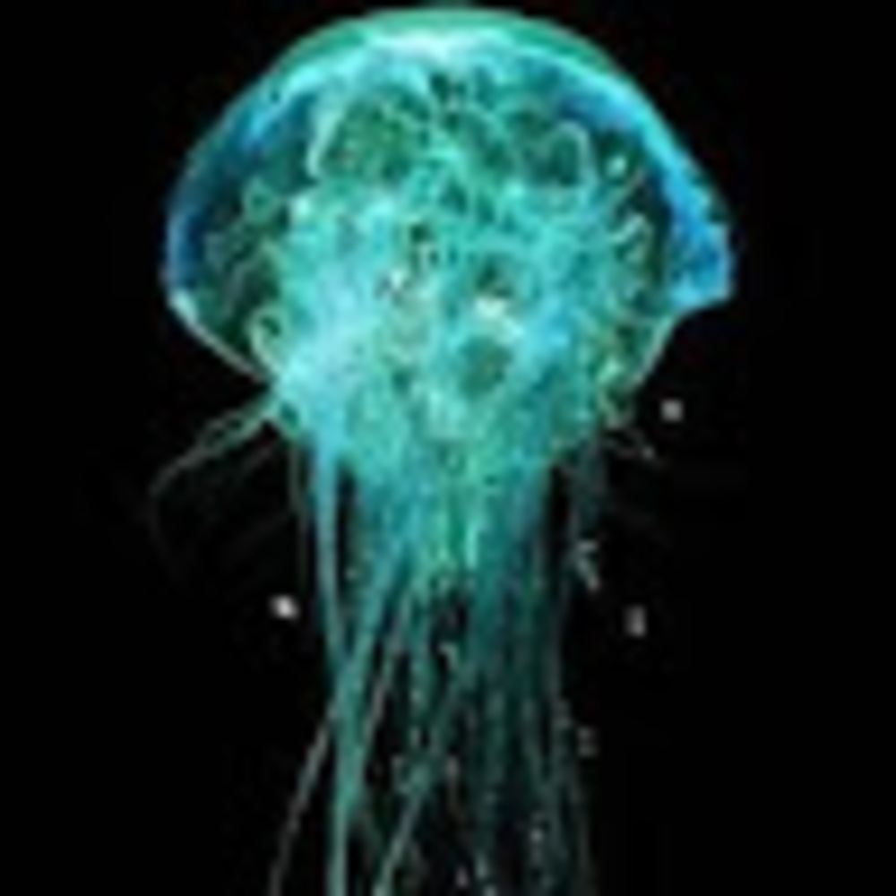 Meet your Posher, None of